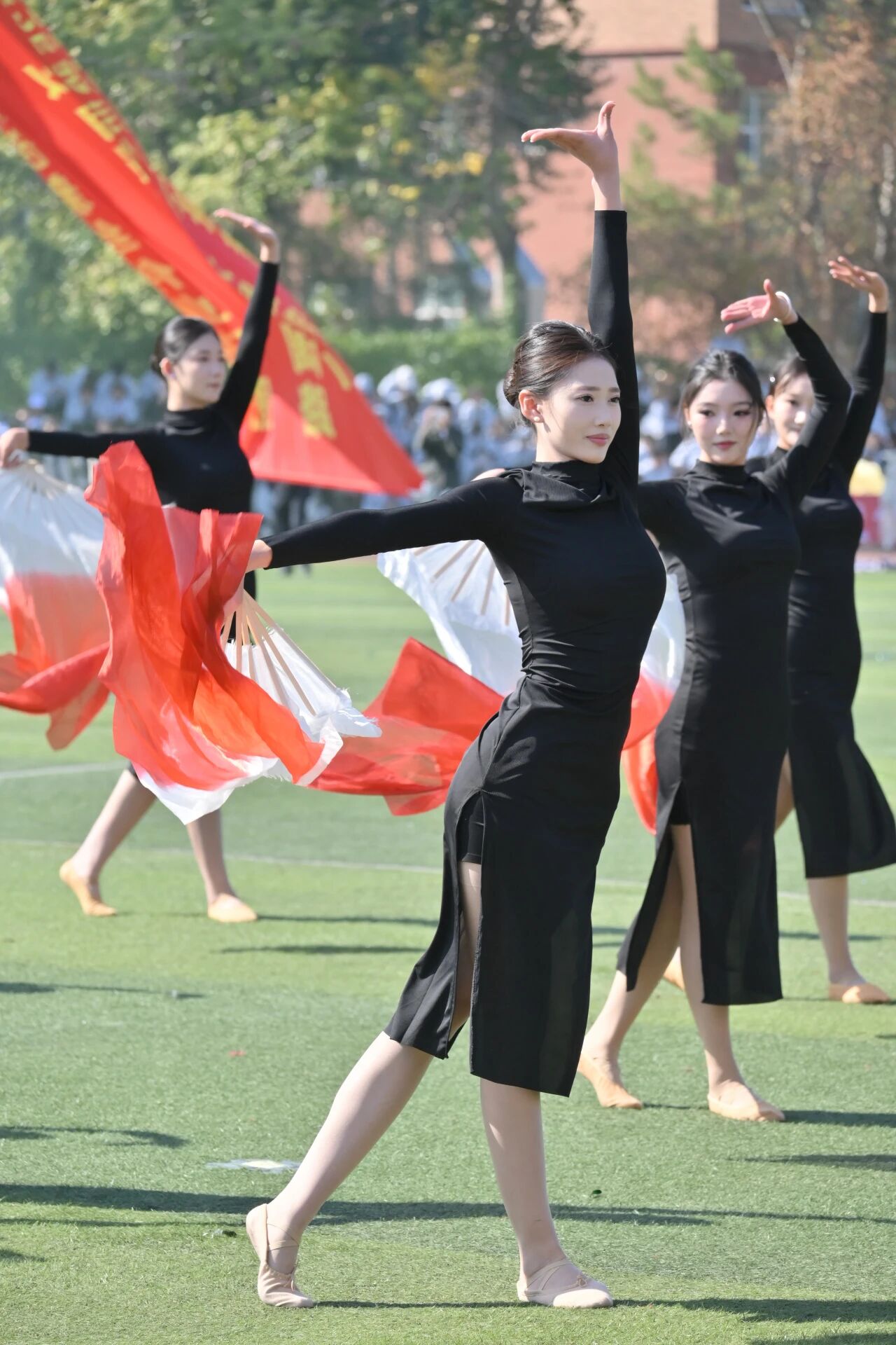 懂球体育