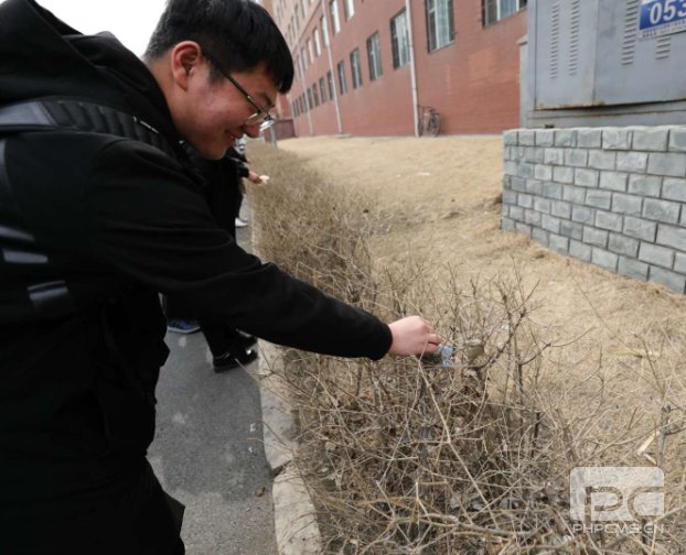 大家分工明确